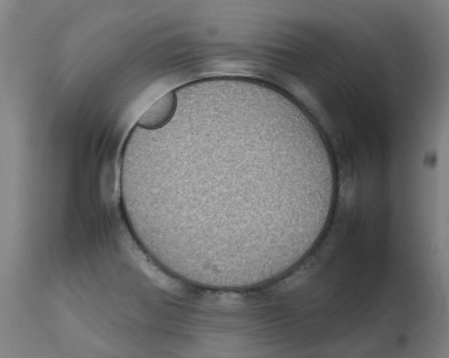 X0000112771370200909171303