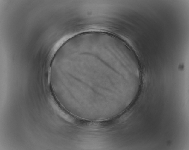 X0000112771371200909171303