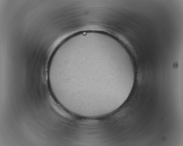 X0000112771372200909171303