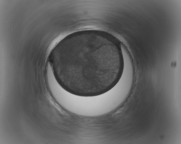 X0000112771373200909171303