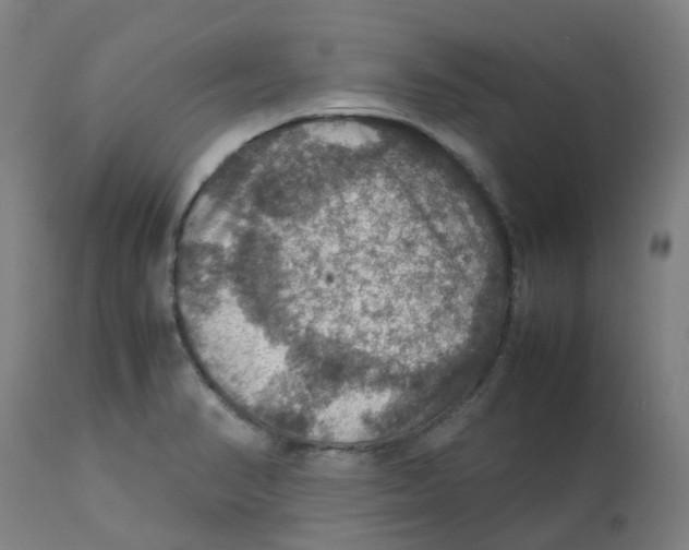 X0000112771374200909171303