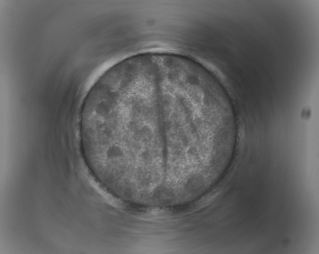 X0000112771375200909171303