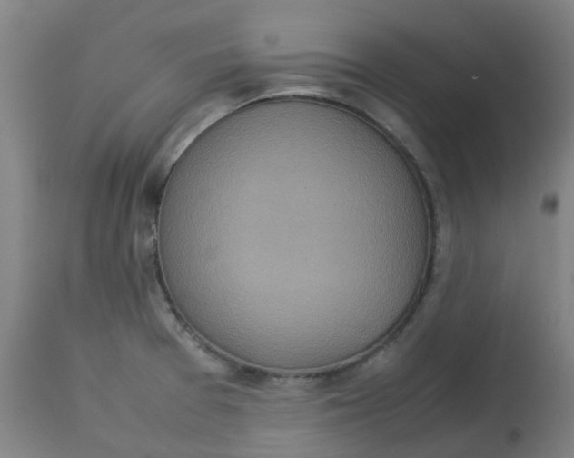 X0000112771377200909171303