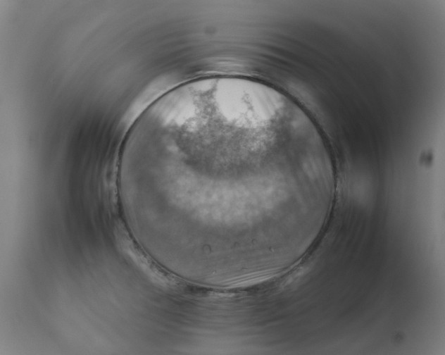 X0000112771378200909171303