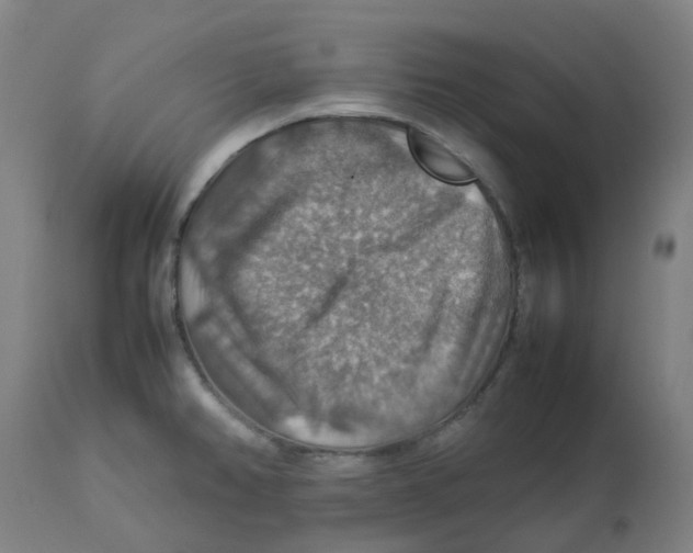 X0000112771382200909171303