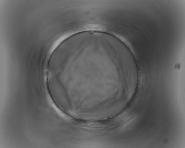 X0000112771383200909171303