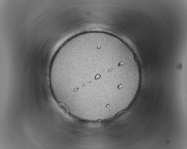 X0000112771384200909171303