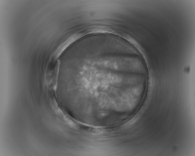 X0000112771385200909171303