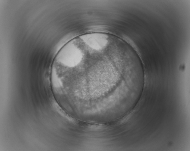 X0000112771386200909171303