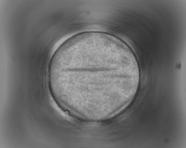 X0000112771387200909171303