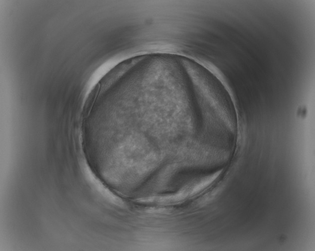 X0000112771389200909171302