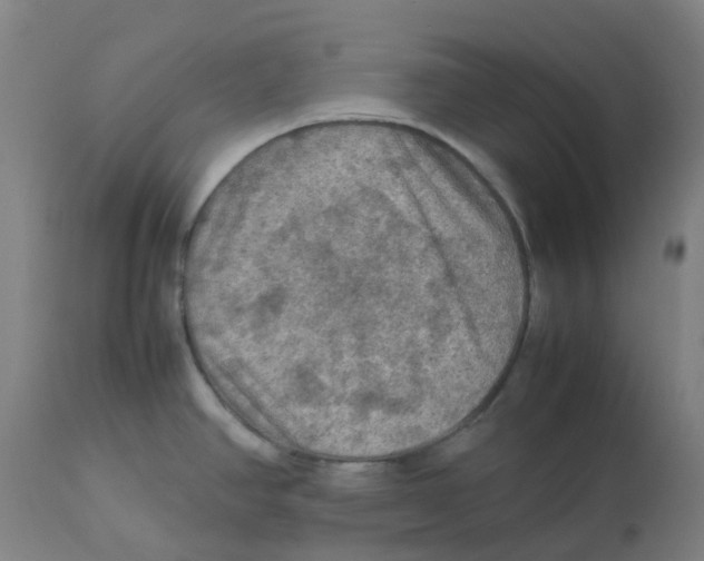 X0000112771390200909171302