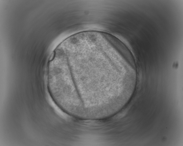 X0000112771391200909171302