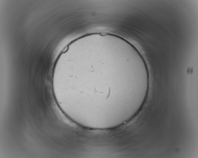 X0000112771392200909171302