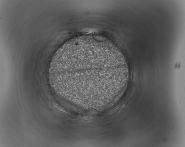 X0000112771393200909171302