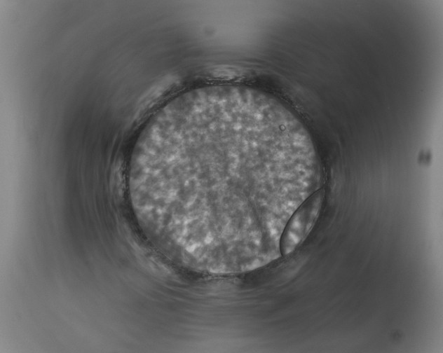 X0000112771394200909171302