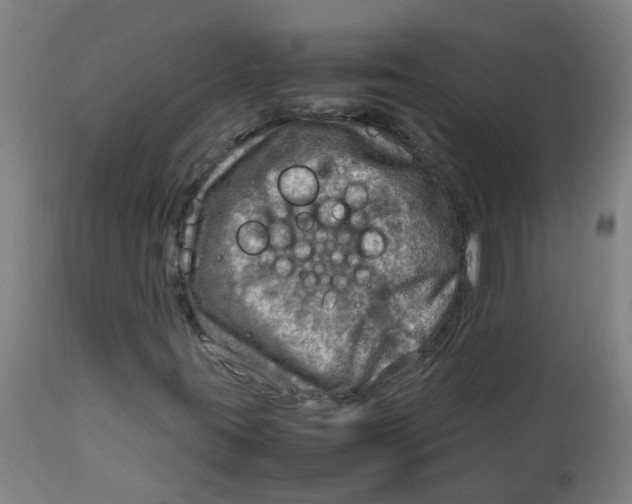 X0000112771395200909171302