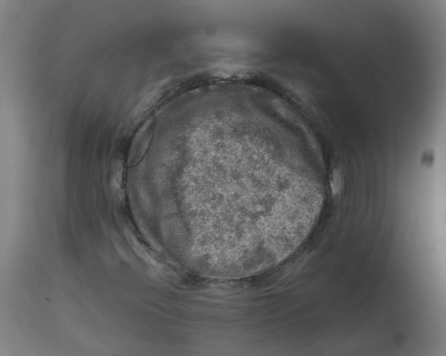 X0000112771396200909171302