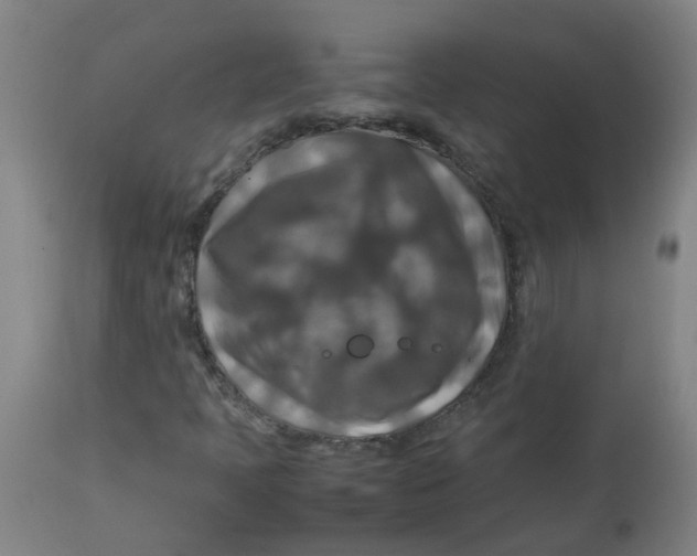 X0000112771397200909171302