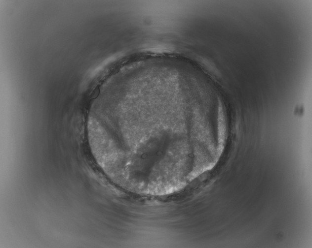 X0000112771398200909171302