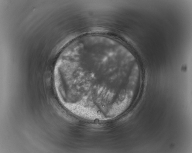 X0000112771401200909171302