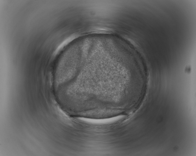 X0000112771402200909171302