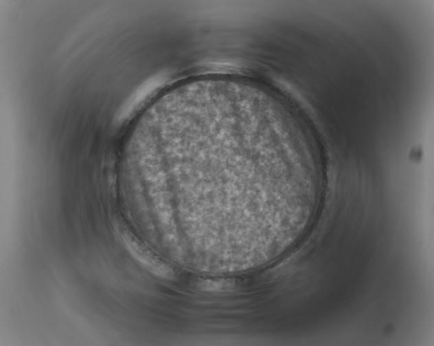 X0000112771403200909171302