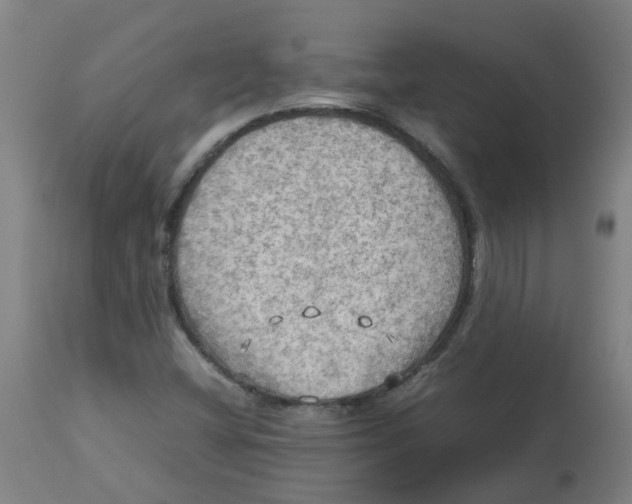 X0000112771404200909171302