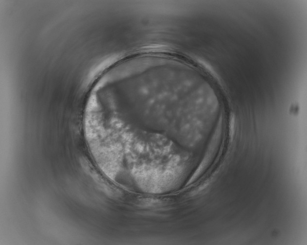 X0000112771405200909171302