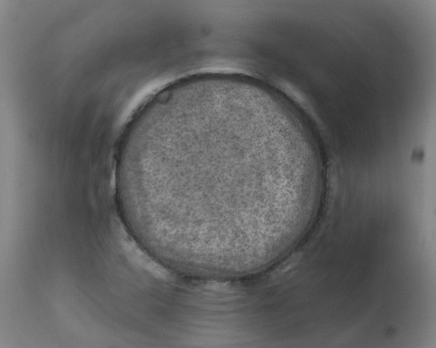 X0000112771408200909171302