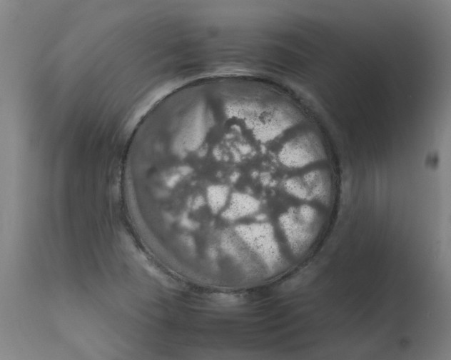 X0000112771409200909171302