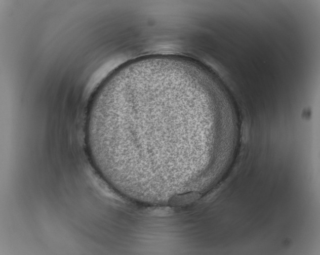 X0000112771410200909171302