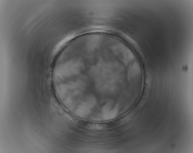 X0000112771411200909171302