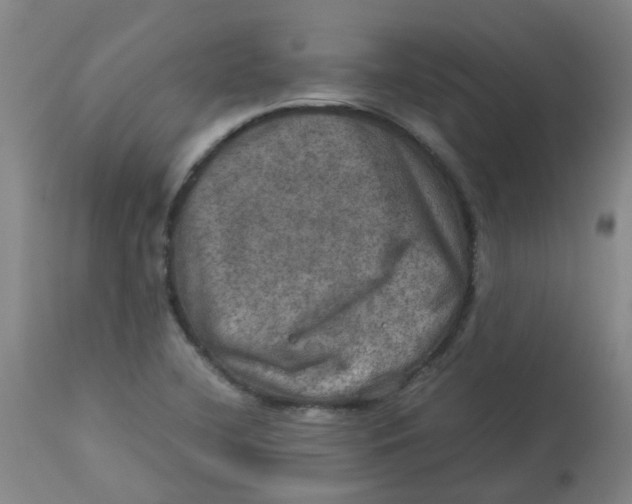 X0000112771412200909171302