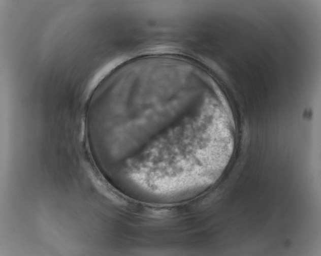 X0000112771413200909171302