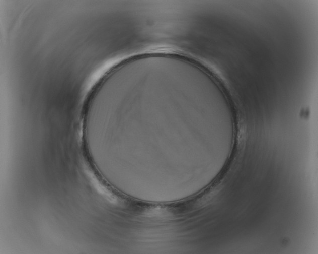 X0000112771414200909171302