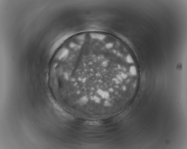 X0000112771415200909171302