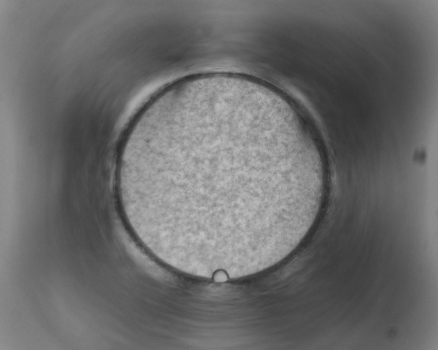 X0000112771416200909171302