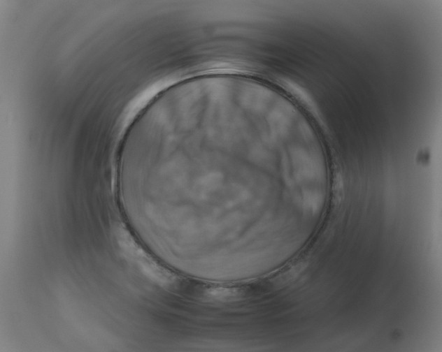 X0000112771419200909171302