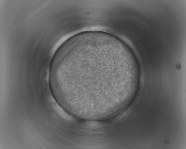 X0000112771420200909171302