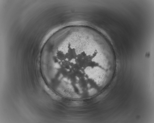 X0000112771421200909171302