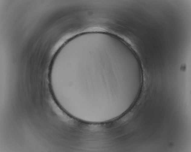 X0000112771422200909171302