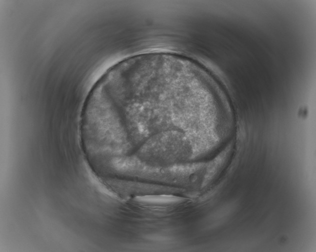 X0000112771423200909171302