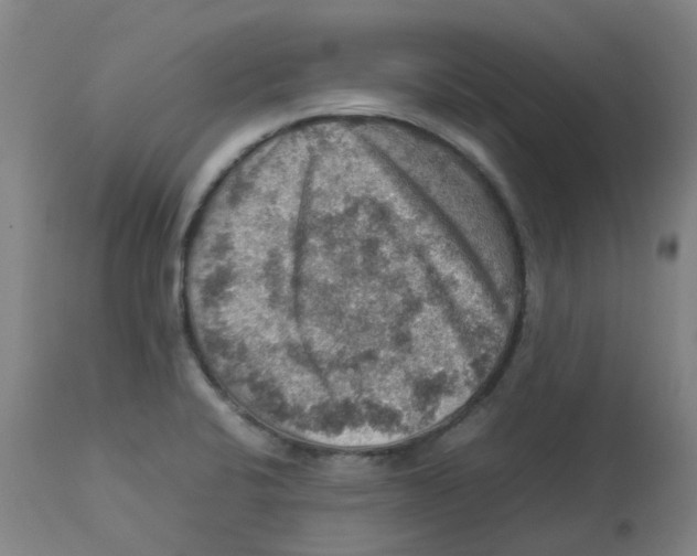 X0000112771424200909171302