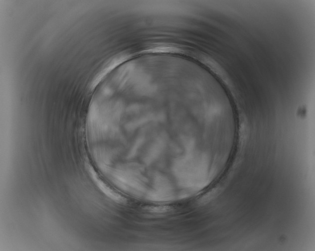 X0000112771425200909171302