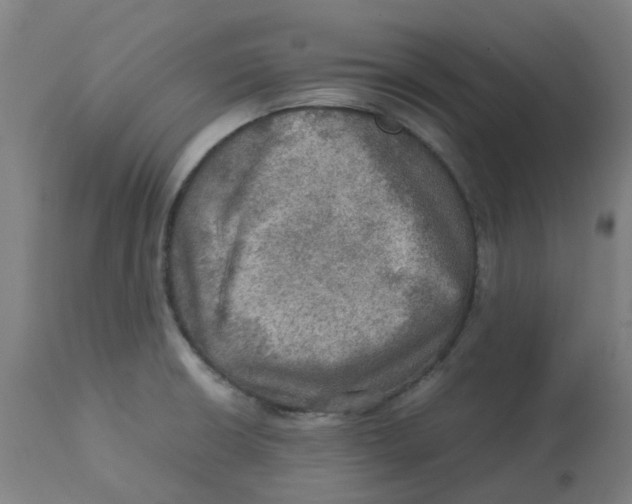 X0000112771426200909171302