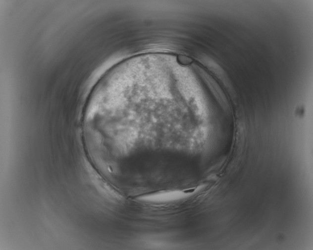 X0000112771427200909171302