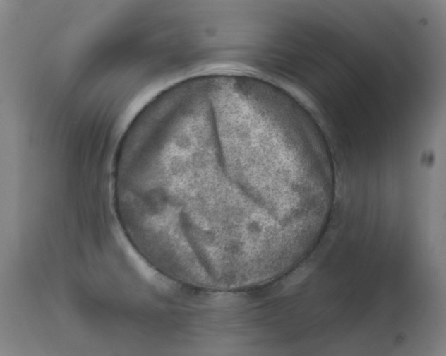 X0000112771430200909171302