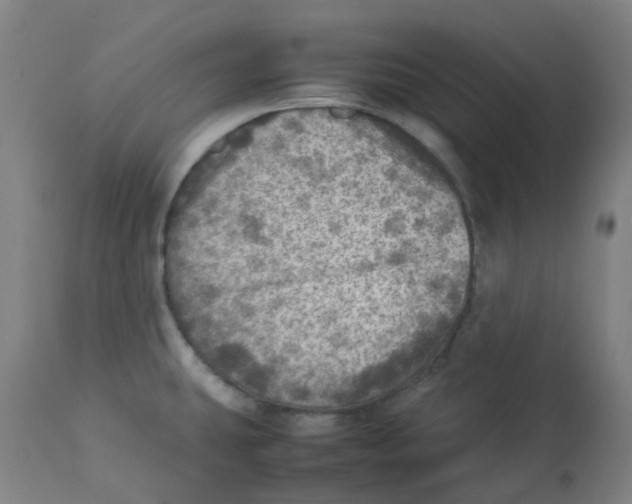 X0000112771431200909171302