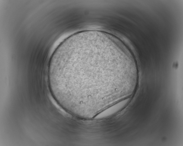 X0000112771432200909171302